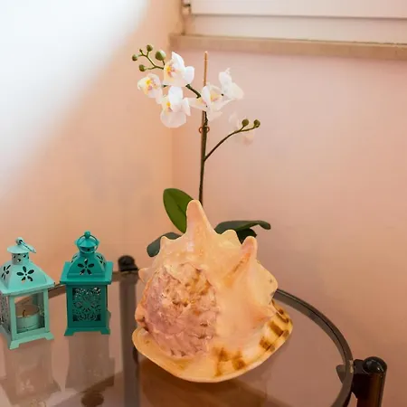 Toni Apartament
